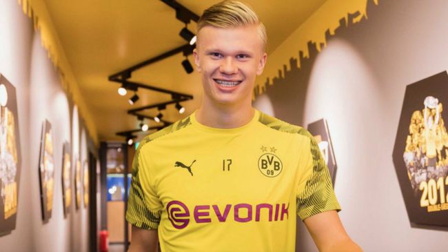 倾向主观结 倾向主观结